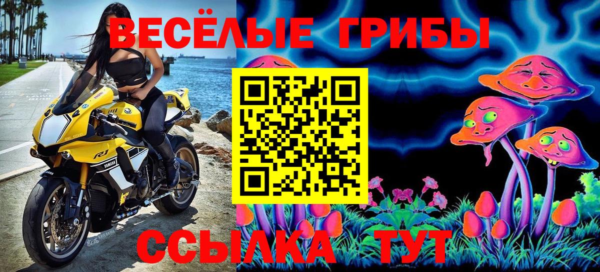 Псилоцибиновые грибы прущие грибы  Галлюциногенные грибы Psilocybine cubensis  Топки 