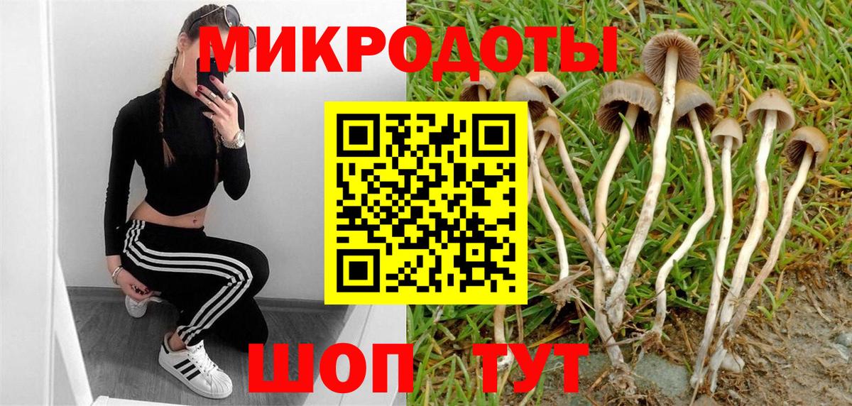 цены наркотик  Вход с VPN  Топки  Псилоцибиновые грибы Psilocybe 